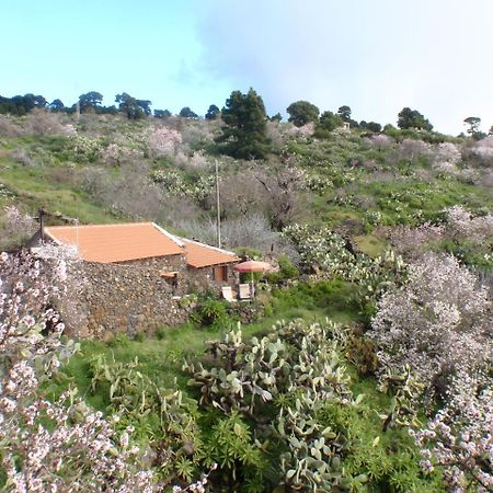 Casa Rural La Jarita El Pinar  Buitenkant foto