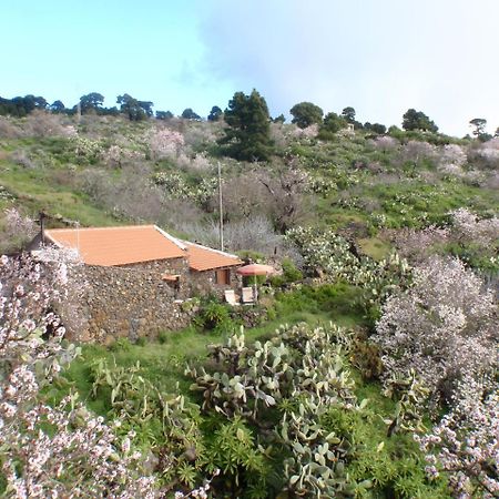 Casa Rural La Jarita Pension El Pinar  Buitenkant foto