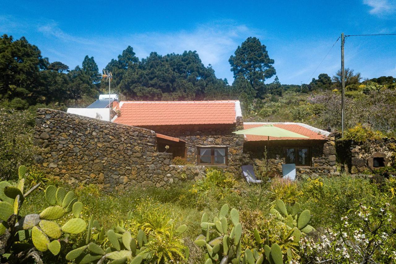 Casa Rural La Jarita Pension El Pinar  Buitenkant foto