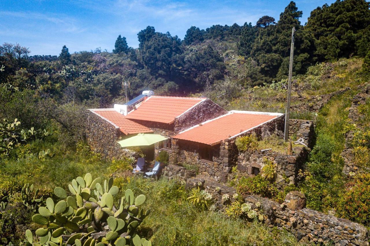 Casa Rural La Jarita Pension El Pinar  Buitenkant foto