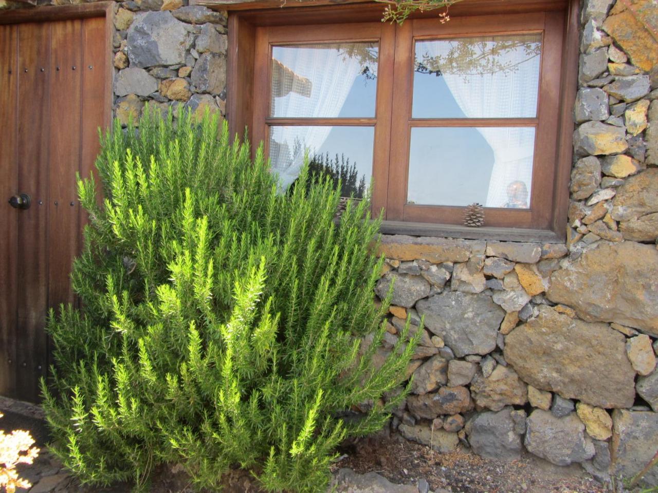 Casa Rural La Jarita El Pinar  Buitenkant foto
