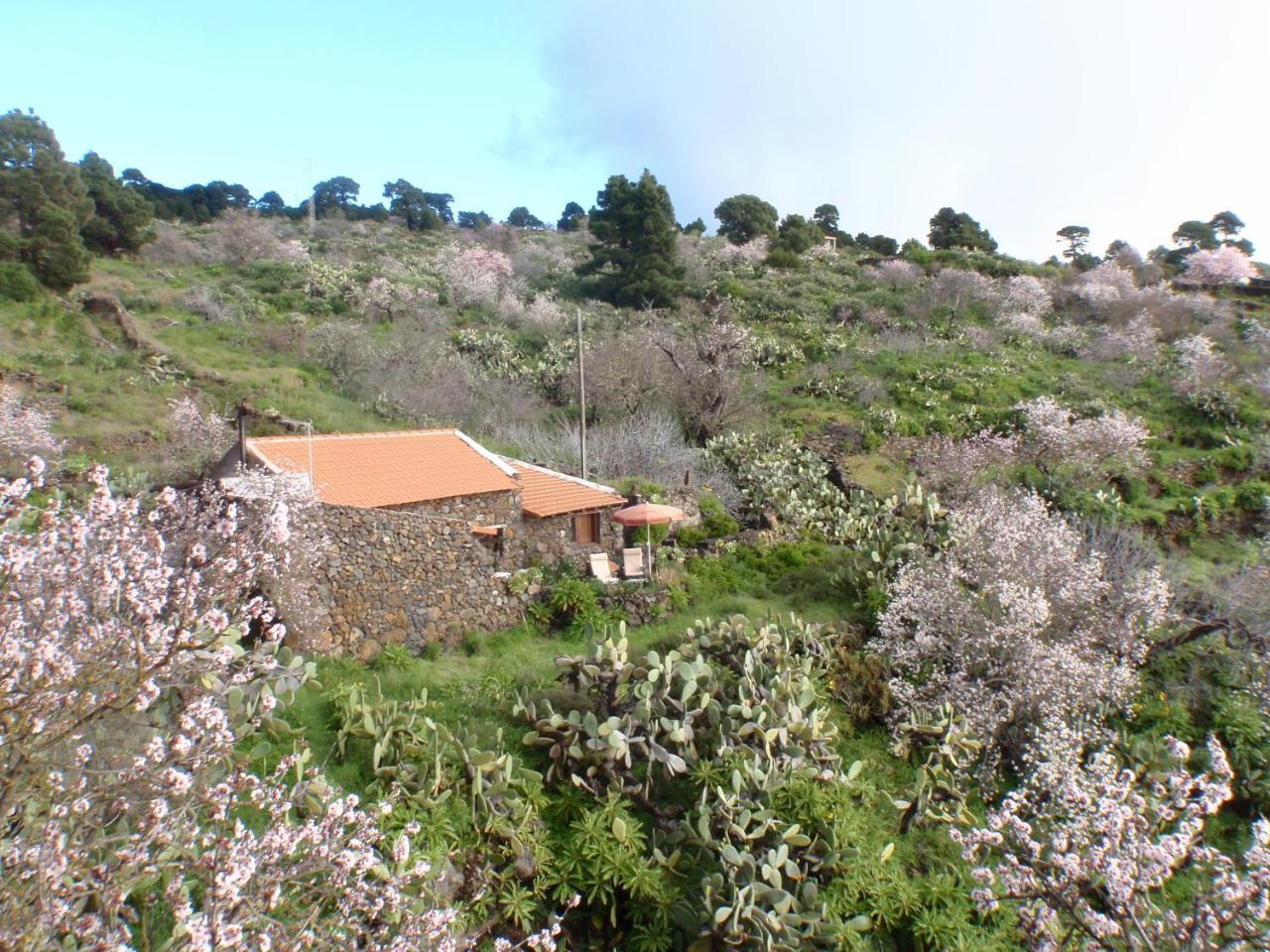 Casa Rural La Jarita Pension El Pinar  Buitenkant foto