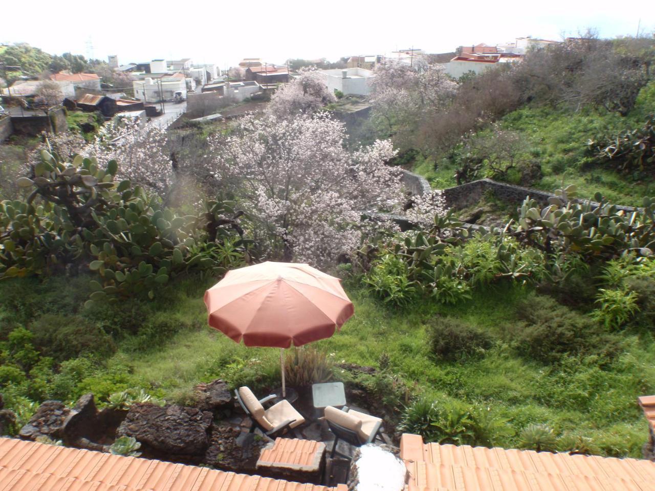 Casa Rural La Jarita Pension El Pinar  Buitenkant foto